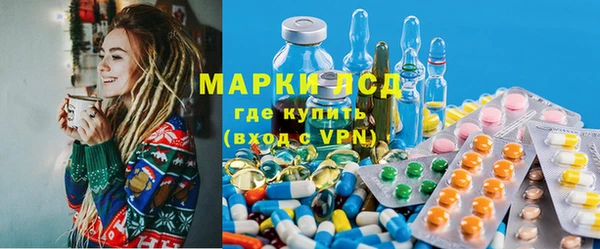 дмт Дубна